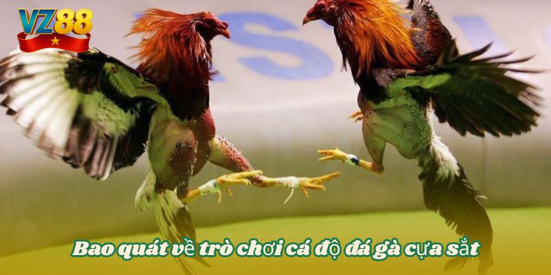 Đá gà cựa sắt VZ88 - Chiến lược thắng bất bại mọi đối thủ 2 Bao quát về trò chơi cá độ đá gà cựa sắt