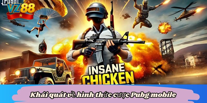 Cược PUBG mobile - Bùng nổ kịch tính trong mọi trận đấu VZ88 2 Khái quát về hình thức cược Pubg mobile