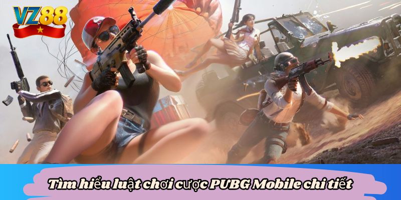 Cược PUBG mobile - Bùng nổ kịch tính trong mọi trận đấu VZ88 3 Tìm hiểu luật chơi cược PUBG Mobile chi tiết