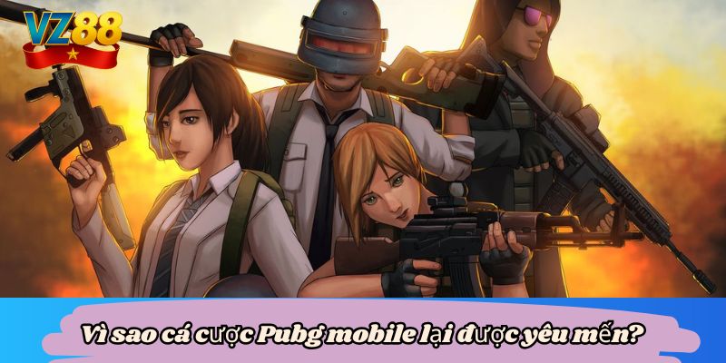 Cược PUBG mobile - Bùng nổ kịch tính trong mọi trận đấu VZ88 4 Vì sao cá cược Pubg mobile lại được yêu mến?