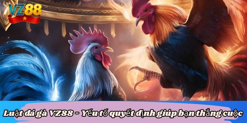 Luật đá gà VZ88 - Yếu tố quyết định giúp bạn thắng cuộc 5 Luật đá gà VZ88 - Yếu tố quyết định giúp bạn thắng cuộc