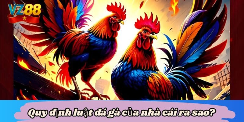 Luật đá gà VZ88 - Yếu tố quyết định giúp bạn thắng cuộc 4 Quy định luật đá gà của nhà cái ra sao?